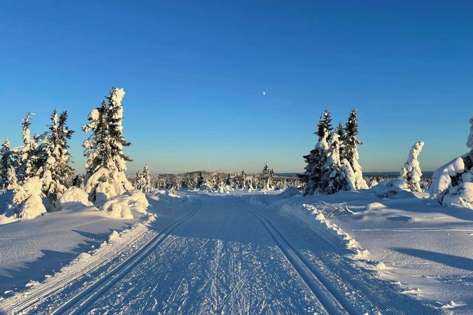 Vinteridyll på Målifjellet som skal passeres to ganger i Budorrennet med Nordhue rett i front. (Foto: Martin Skramstad) Vinteridyll på Målifjellet som skal passeres to ganger i Budorrennet med Nordhue rett i front. (Foto: Martin Skramstad)