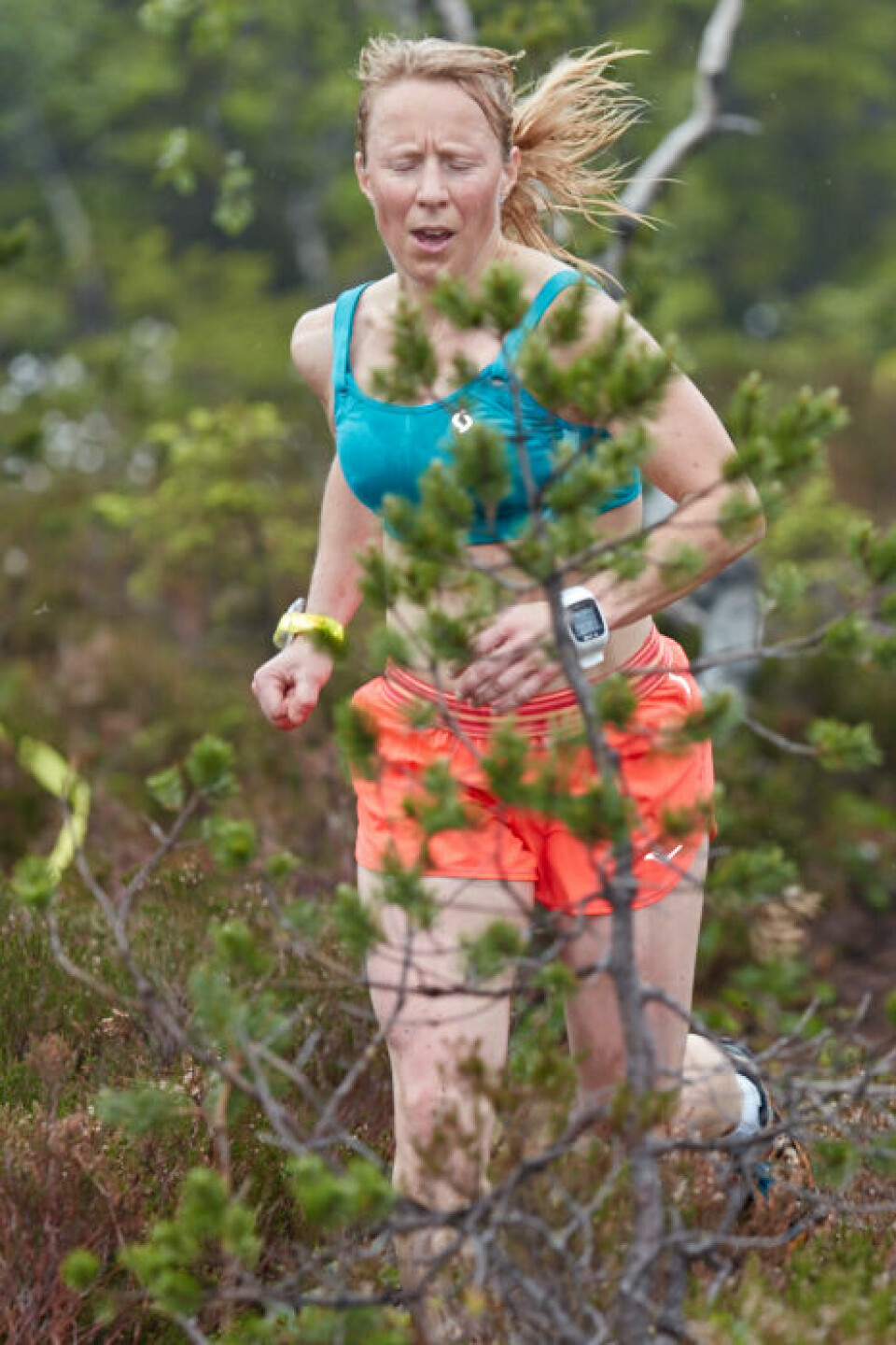Rett til Værs innledet Motbakke-cupen i Maridalsalpene 046_Rett_til_Vaers_07062016.jpg