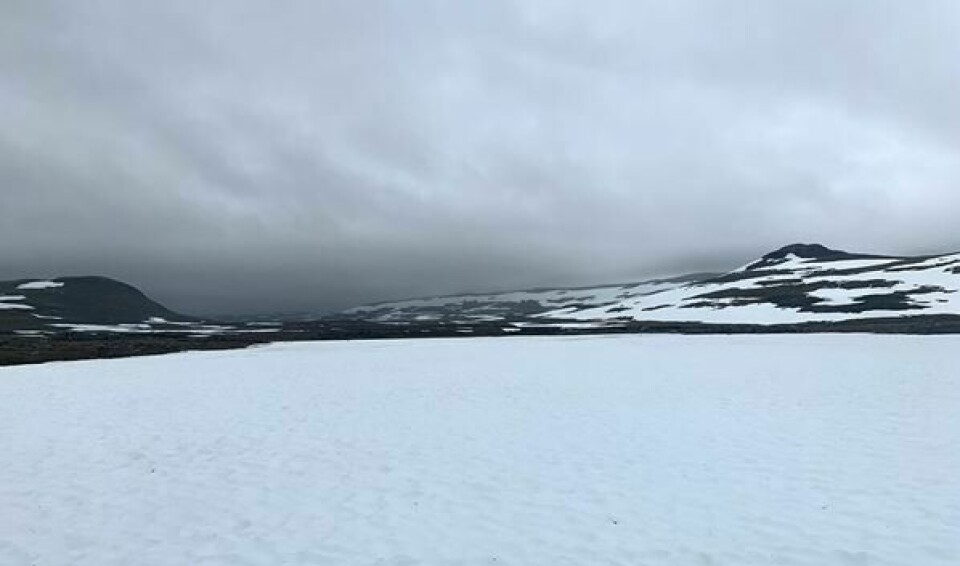 Aleksander Krokeide samlet inn penger til Redd Barna, løp 350 km på stier fra Voss til Oslo aleksander_snø_vidde.jpg