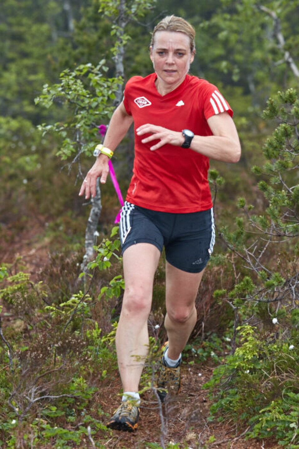 Rett til Værs innledet Motbakke-cupen i Maridalsalpene 070_Rett_til_Vaers_07062016.jpg