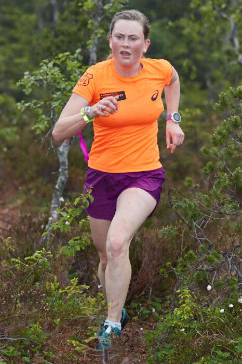 Rett til Værs innledet Motbakke-cupen i Maridalsalpene 080_Rett_til_Vaers_07062016.jpg