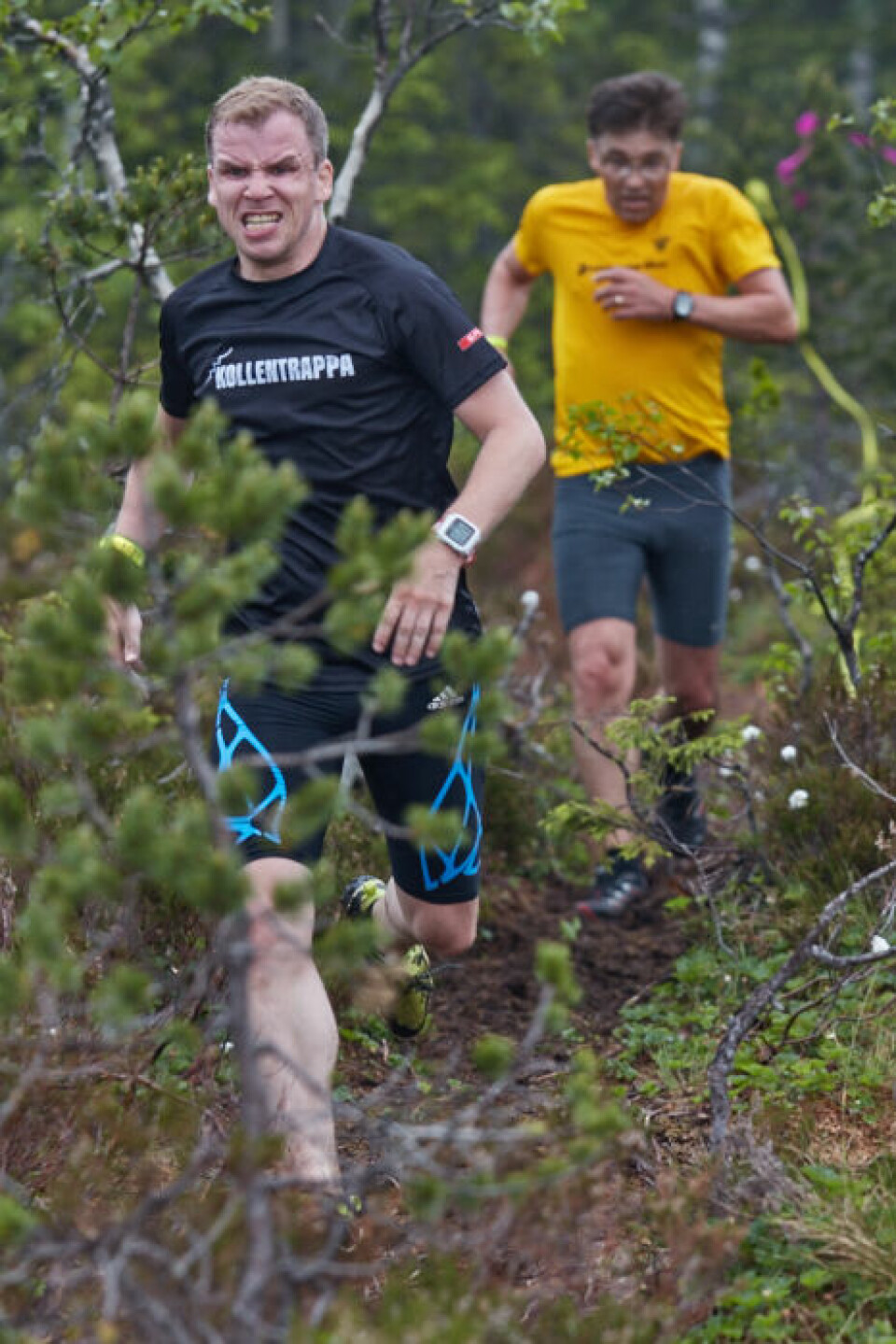 Rett til Værs innledet Motbakke-cupen i Maridalsalpene 097_Rett_til_Vaers_07062016.jpg