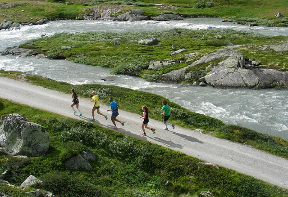 Løyperekorder i Rallarvegsløpet