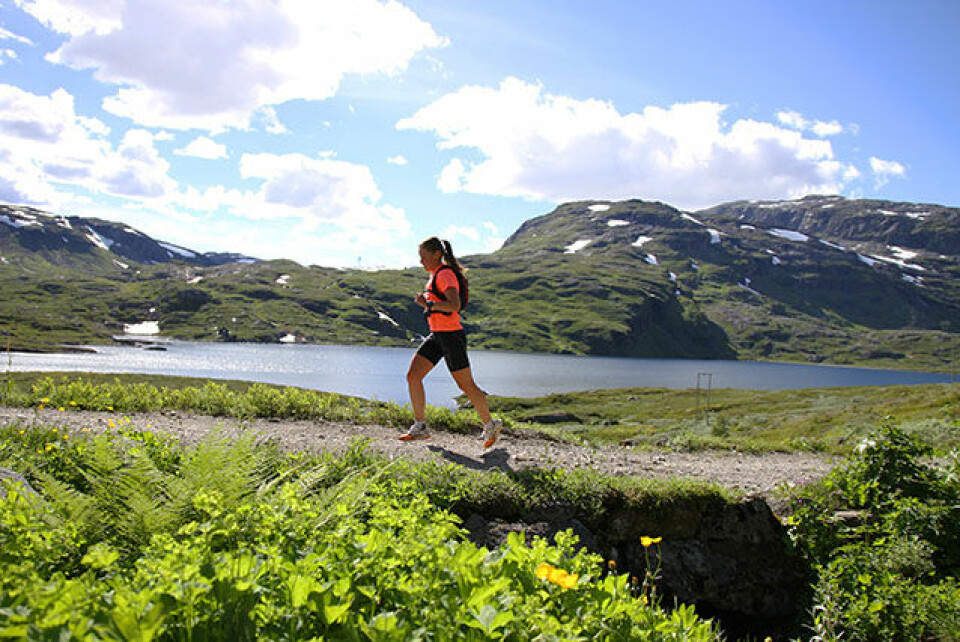 Mot snøfrie og rekordraske forhold i Rallarvegsløpet loper_i_orange.jpg