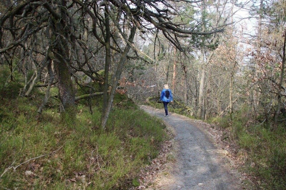 1600 fullførte Sparebanken Sør-løpet, sterk tid av Kjersti Karoline Danielsen Idyllisk_i_løypa (1280x853).jpg