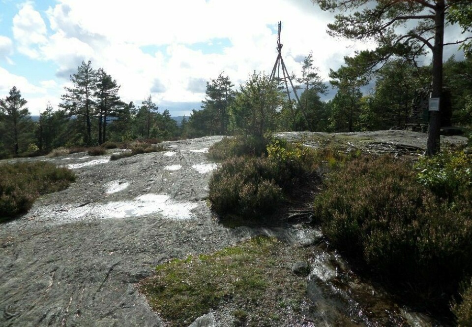 Fagerheikongen 2024 går en uge tidligere end normalt, altså 22. september 2024. (Foto: arrangøren) Fagerheikongen 2024 går en uge tidligere end normalt, altså 22. september 2024. (Foto: arrangøren)