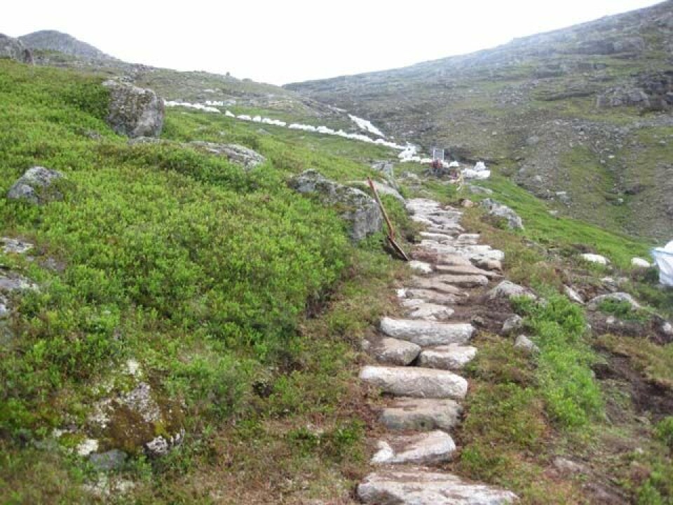 Betre løype med ny Skålasti 640_1000moh_FotoChrPrestegaard