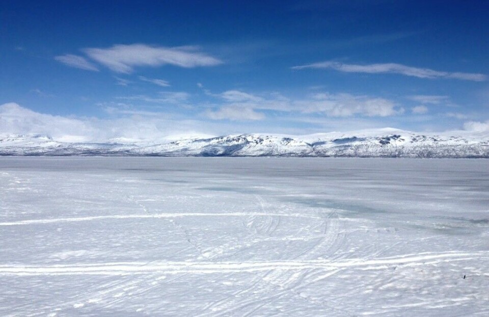 'Nordenskiöldsloppet 220 km' - verdens lengste skirenn er tilbake jokkmokk-1024x663.jpg