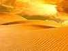Sanddyner