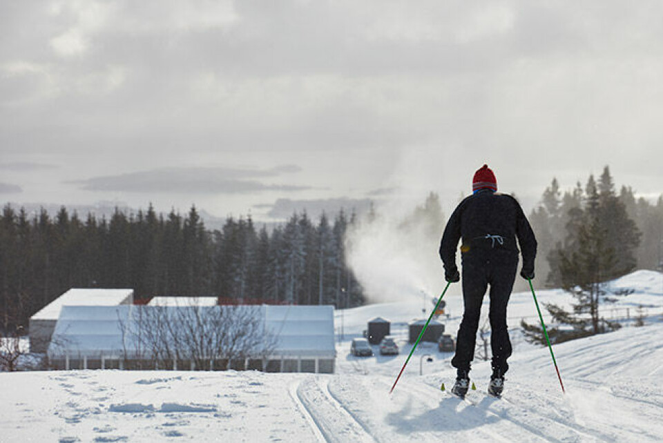 Arne Post og Kristin Antonsen vant Holmenkollmarsjen 537_Holmenkollmarsjen_13022016.jpg