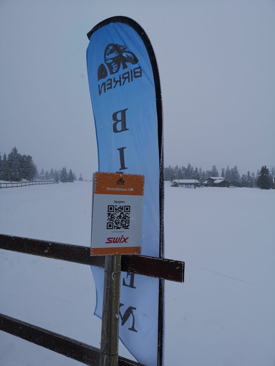 Lite skirenn - mye skiglede! 2.jpg