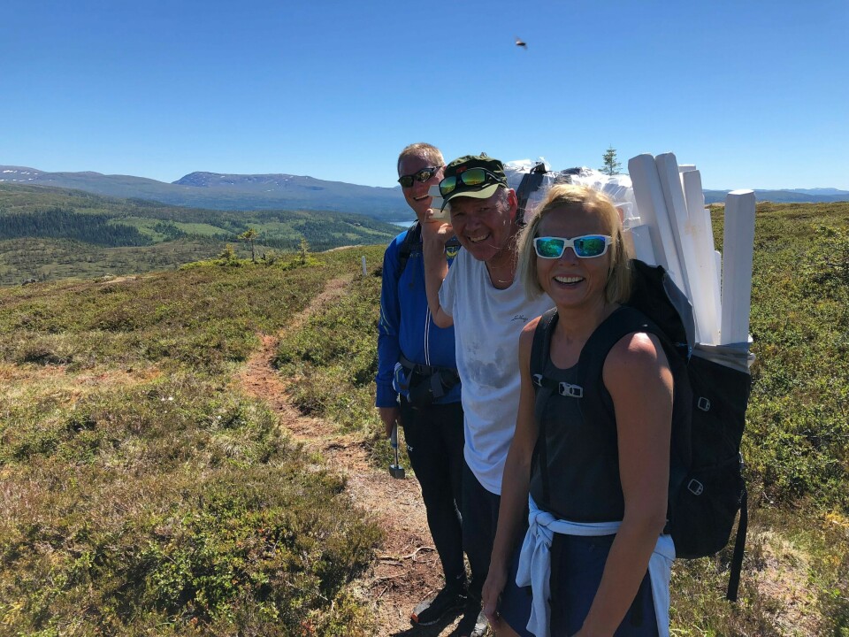 Alt klart for NM-vukku 1.-5. august i Meråker Merkepinner_og_merking.jpg