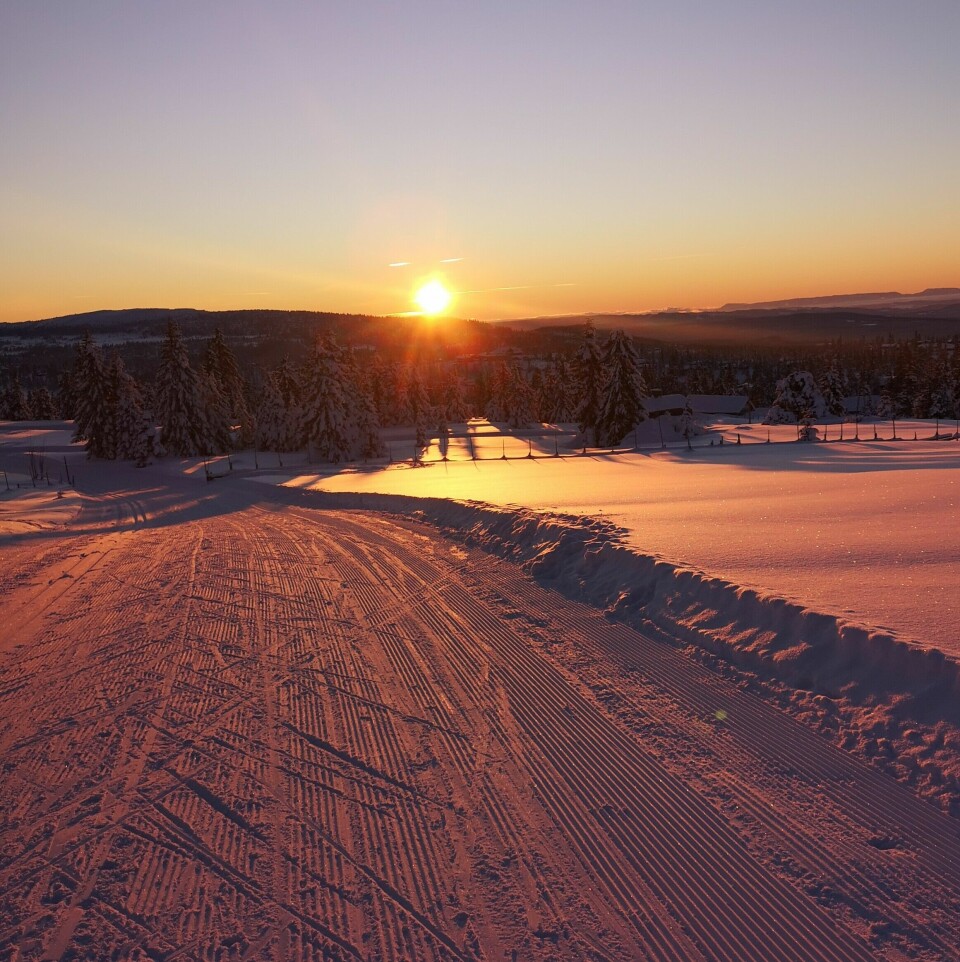 Lite skirenn - mye skiglede! 6.jpg
