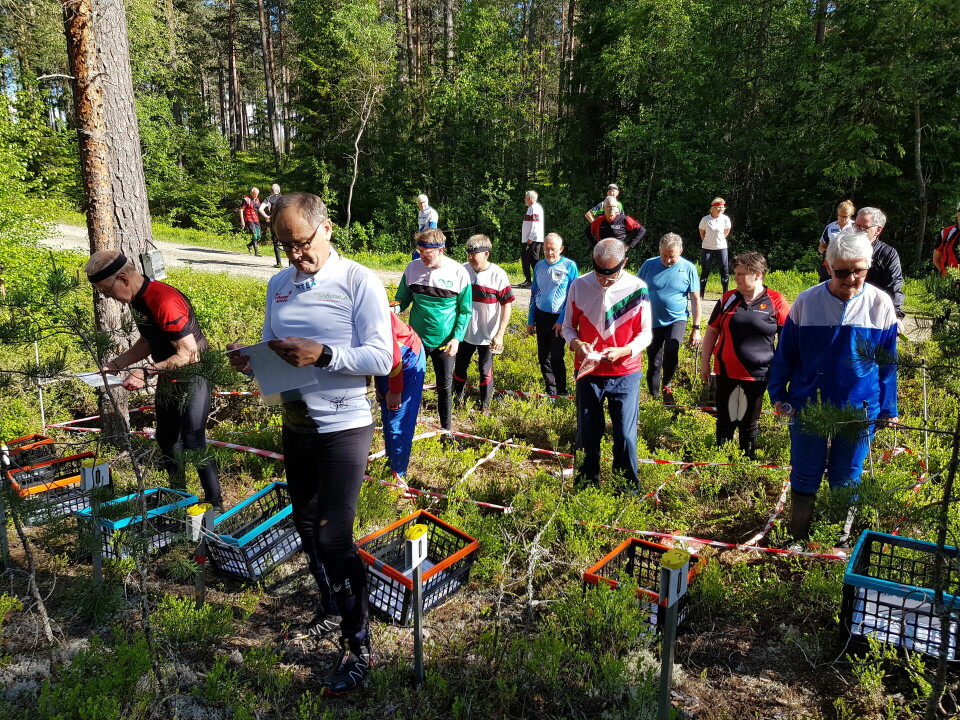 Kjente og kjære Mosjømarka i ukas bedrifts o-løp Klare til start.jpg
