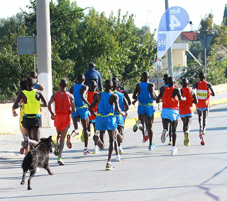 Den store maratonopplevelsen i Aten