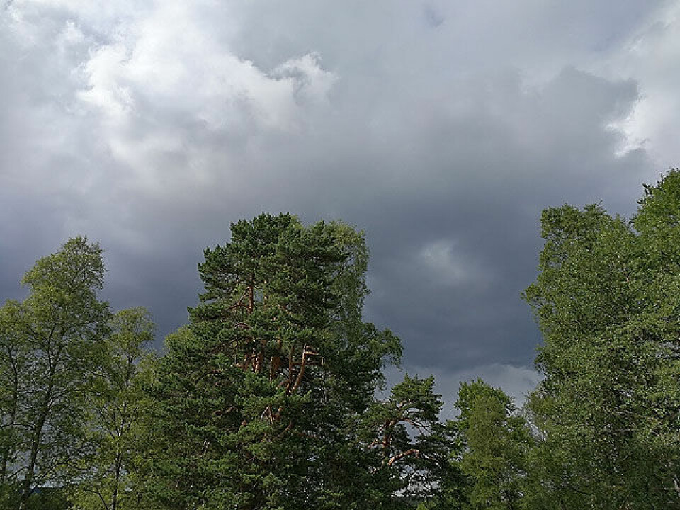 Mørke skyer over Sognsvann Mørke skyer over Sognsvann