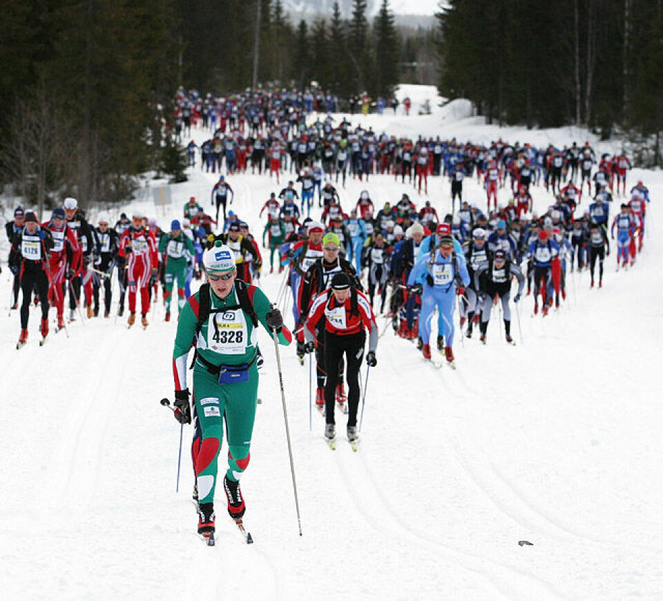 Birken 2010 - uten feste kommer du ikke langt.... Start_lang_orm_9C0E1301
