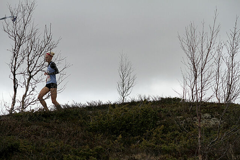 Litt over 400 fjellbukker og fjellgeiter løp 10 km i tøft fjellterreng Julie_Larsen_IMG_1040.jpg