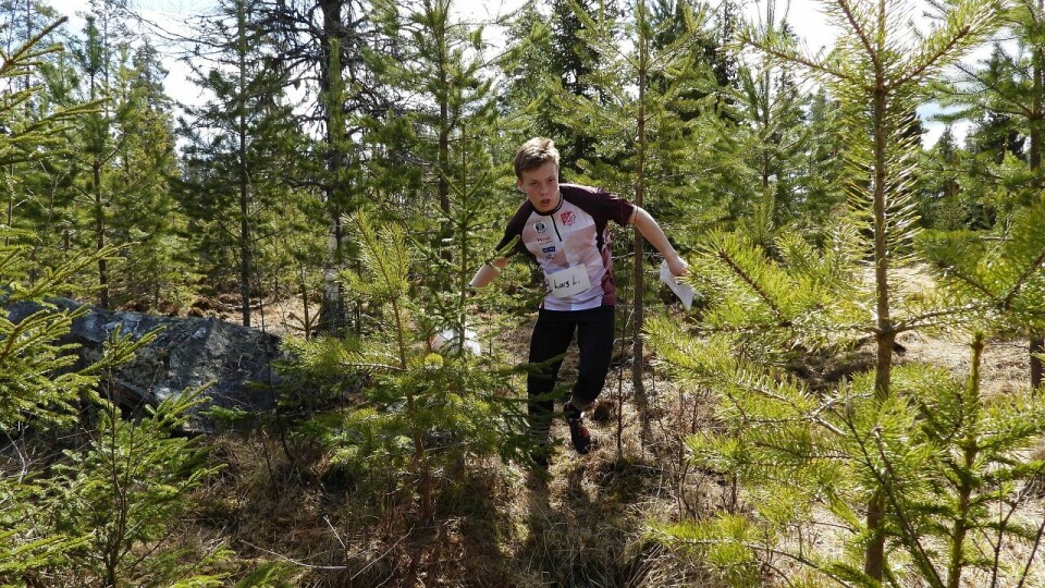Mjøs-O med treningssamling i Mosjømarka Lars Lien.jpg