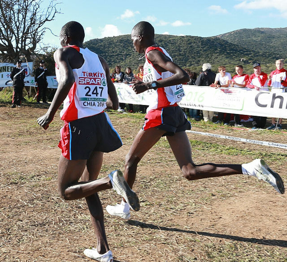 EM: Dobbeltseier til tyrkiske kenyanere - Sondre N. Moen nr. 13 Kaya_Arikan_vid_bakfra_AZ3T5350.jpg
