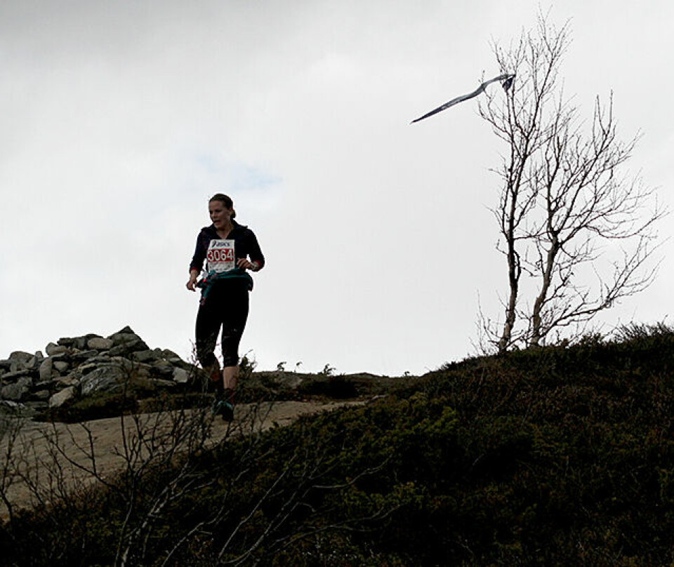 Litt over 400 fjellbukker og fjellgeiter løp 10 km i tøft fjellterreng Helle_Tidemandsen_IMG_1246.jpg