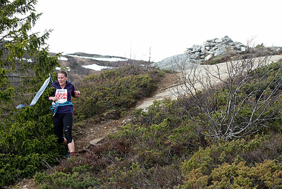 Litt over 400 fjellbukker og fjellgeiter løp 10 km i tøft fjellterreng Helle_Tidemandsen_IMG_1248.jpg
