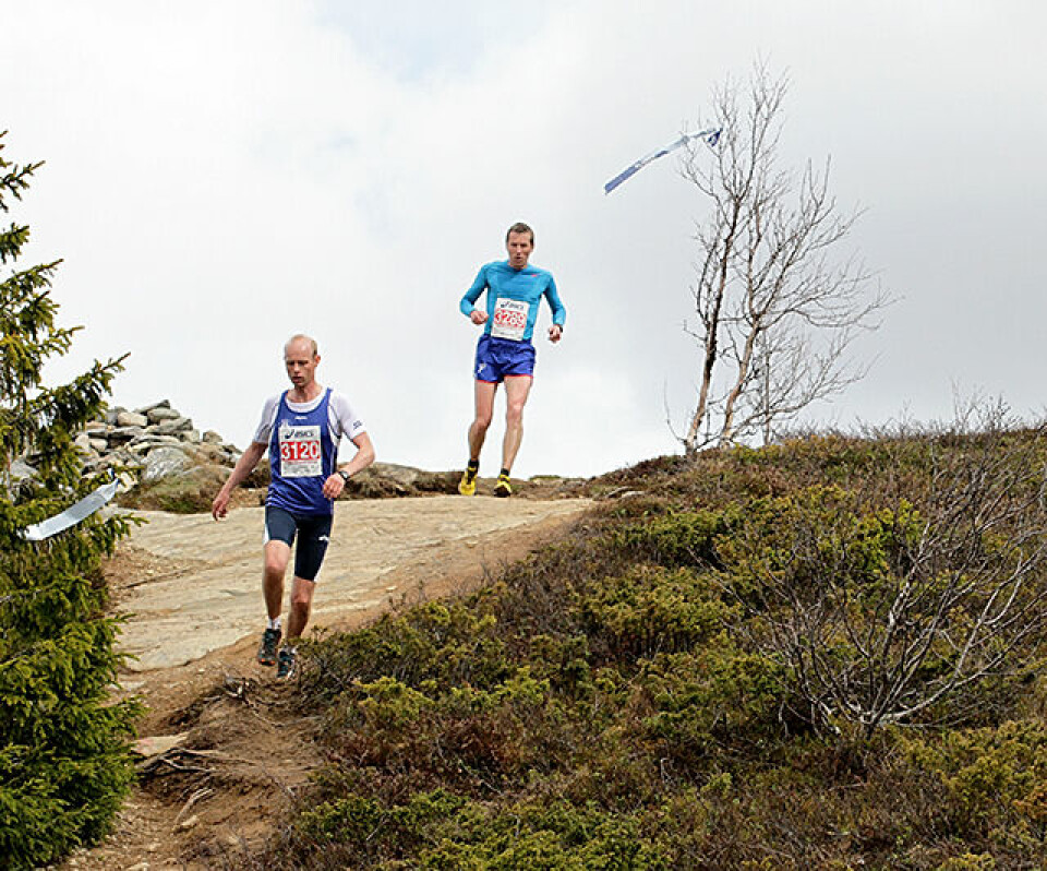 Litt over 400 fjellbukker og fjellgeiter løp 10 km i tøft fjellterreng Bjorn_Egil_Nordseth_o_Svein_Inge Buhaug_ IMG_0782.jpg