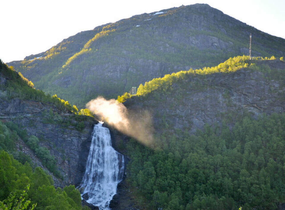 Proffene vant Bergen-Voss