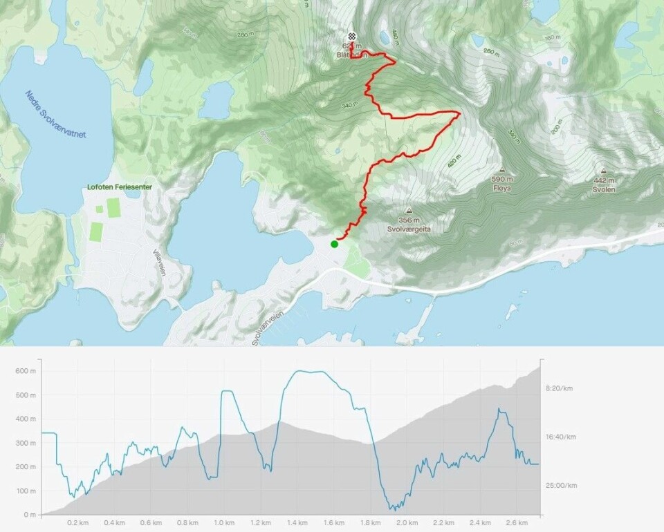 Rekordpåmelding for Lofoten Skyrace profil-10k.jpg