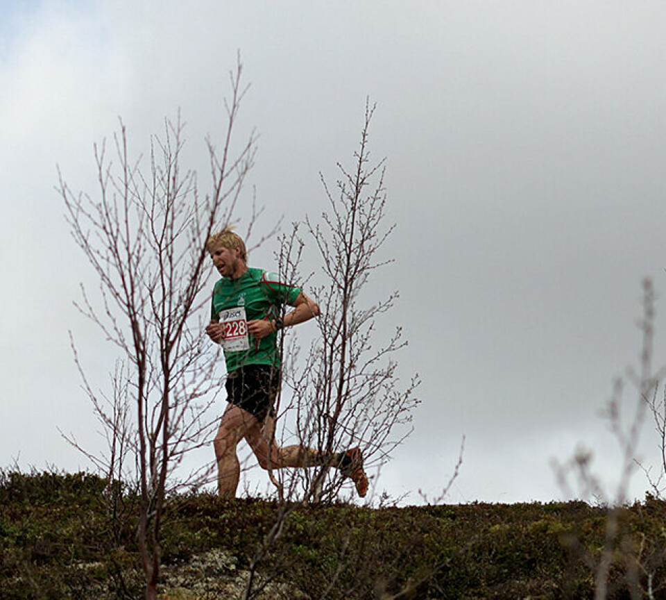 Litt over 400 fjellbukker og fjellgeiter løp 10 km i tøft fjellterreng Staale_Fenstad_IMG_0835.jpg