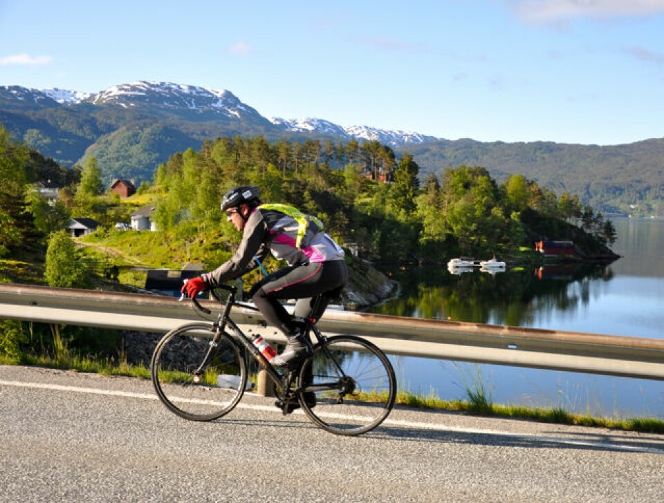 Proffene vant Bergen-Voss