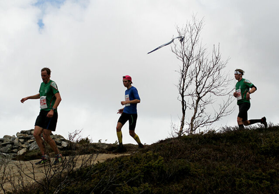 Litt over 400 fjellbukker og fjellgeiter løp 10 km i tøft fjellterreng Atle_Smenes_o_Anders_Kolstadbakken_o_Oystein_Hoel_Sandsdalen_IMG_0884.jpg