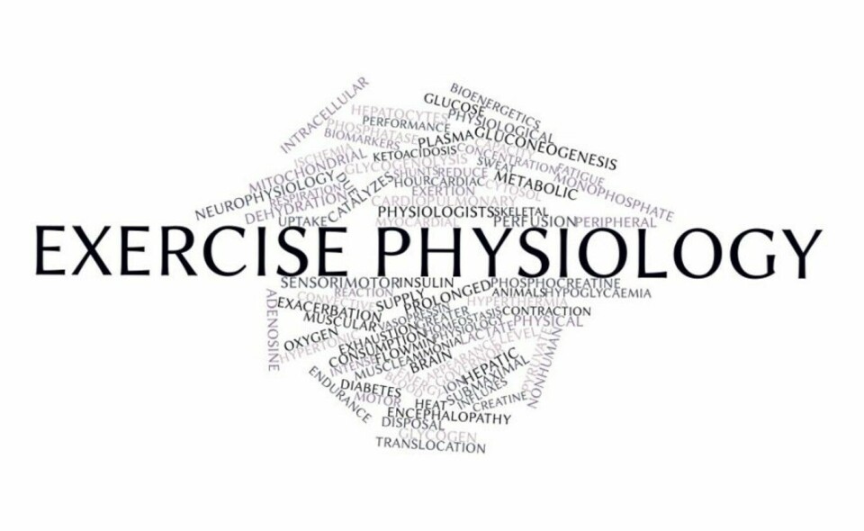 BLOGG: Når hele fundamentet rakner.... Central governor model Land-distanseløperen_exercise_physiology2
