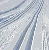 loeype_250