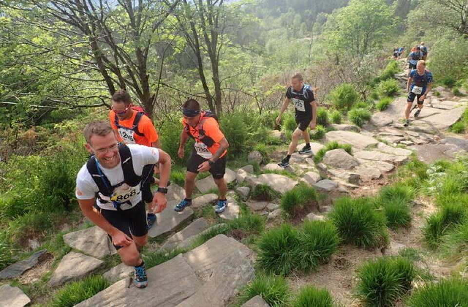 Lilleskare og Angermund-Vik vant Bergen Fjellmaraton