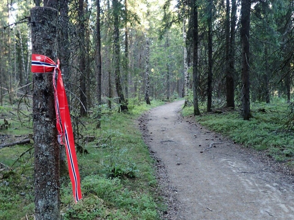 265 løp Blodomløpet på Jessheim P6085028 (1280x959).jpg