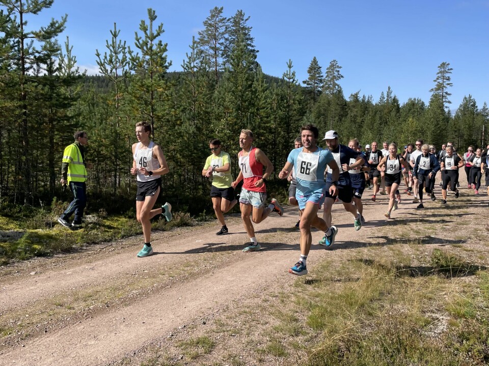 Det var det største feltet på Støa på 16 år da 36 aktive la av gårde i samlet flokk denne første lørdagen i september. (Foto: Hilde Hagevik Odde) Det var det største feltet på Støa på 16 år da 36 aktive la av gårde i samlet flokk denne første lørdagen i september. (Foto: Hilde Hagevik Odde)