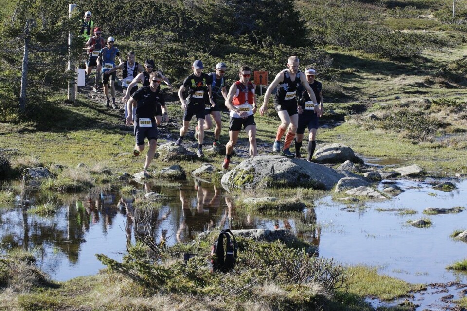 Teten etter 2,5 km med vinneren Sebastian Conrad Håkansson (50220), Sjur Ferkingstad (50026) og Øystein Pettersen (50082) lengst framme. Teten etter 2,5 km med vinneren Sebastian Conrad Håkansson (50220), Sjur Ferkingstad (50026) og Øystein Pettersen (50082) lengst framme.