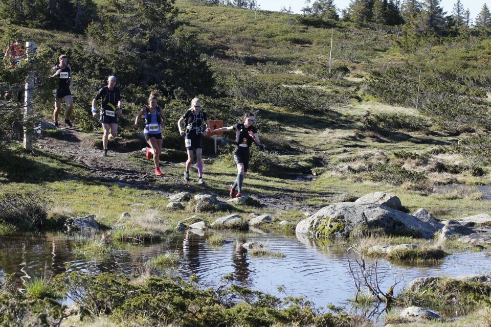 UltraBirken, en våt og varm historie - NÅ MED VIDEO FRA 2,5 KM Teten_kvinner.jpg