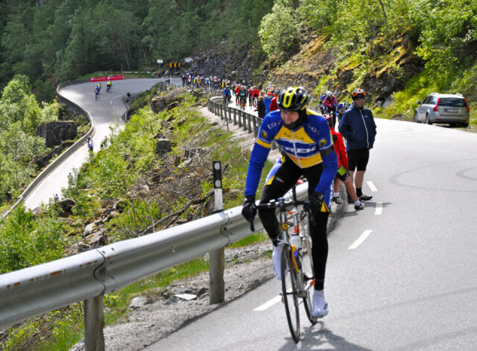 Proffene vant Bergen-Voss