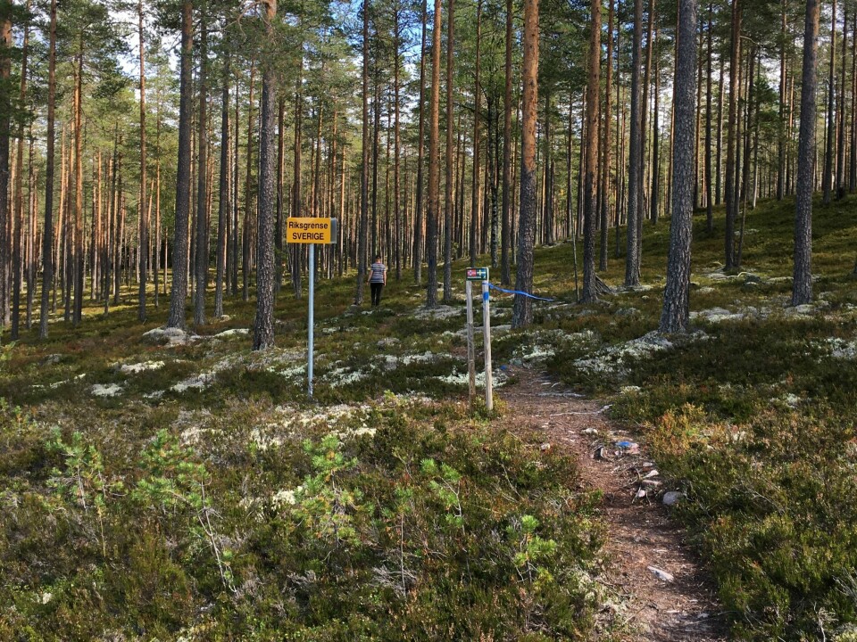 Grensetrimmen mer enn doblet deltakelsen i den 39. utgaven Riksgrensen.jpeg