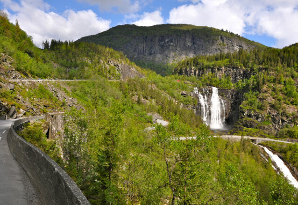 Proffene vant Bergen-Voss