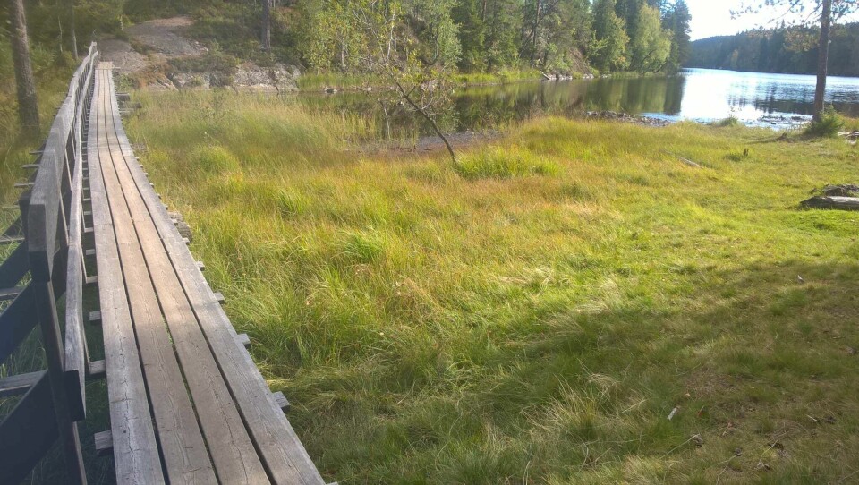 Ultraløpet ga en lykkefølelse.... smalgjermenningen.jpg