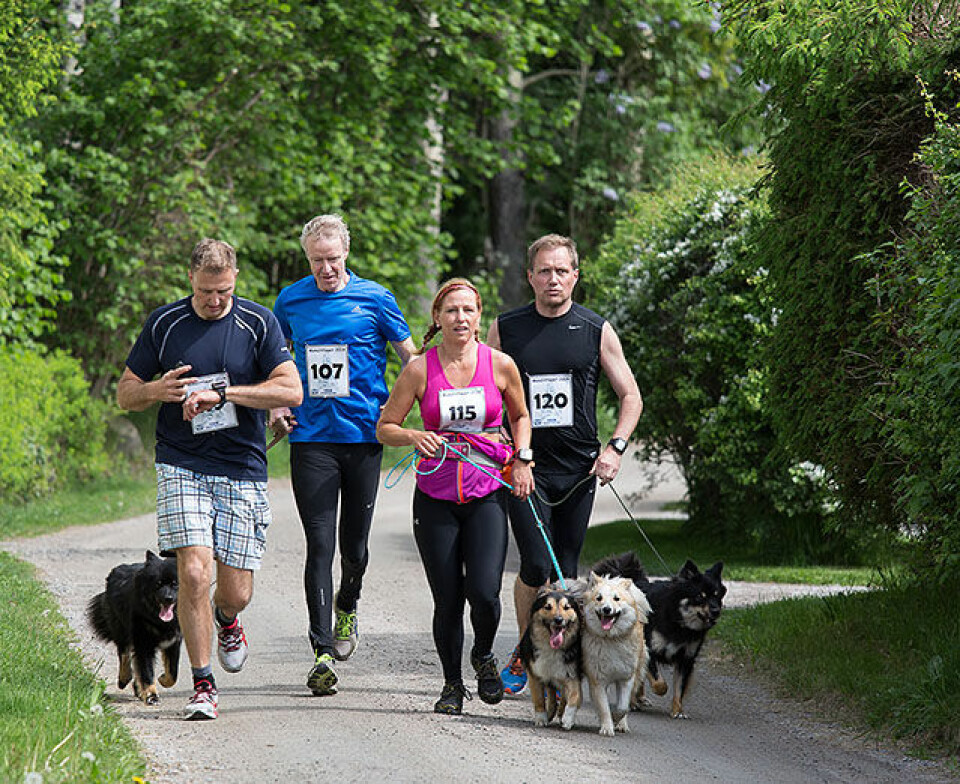 Monolittløpet ble arrangert i Halden lørdag 110427.jpg