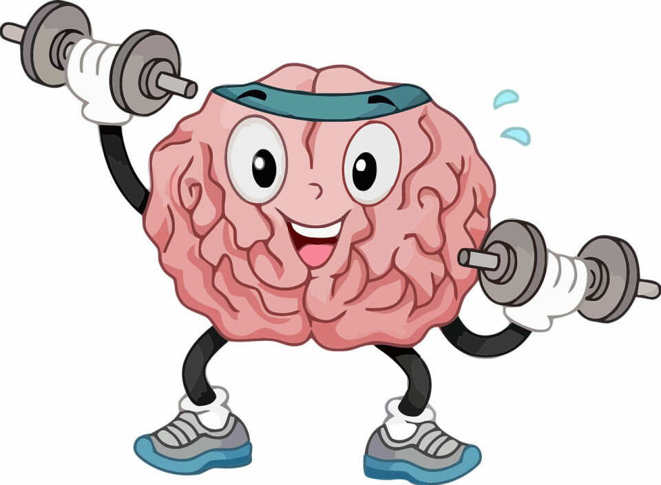 Tidlig krøkes brain-5532459_1280.png