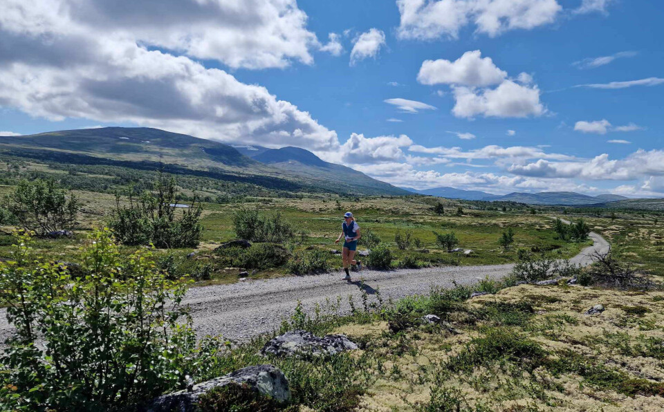 Tilbake til røttene: Ida Meli Narbuvoll på løpetur på hjemlige trakter på fjellet mellom Narbuvoll og Øversjødalen i juli 2023. (Foto: privat) Ida Meli Narbuvoll