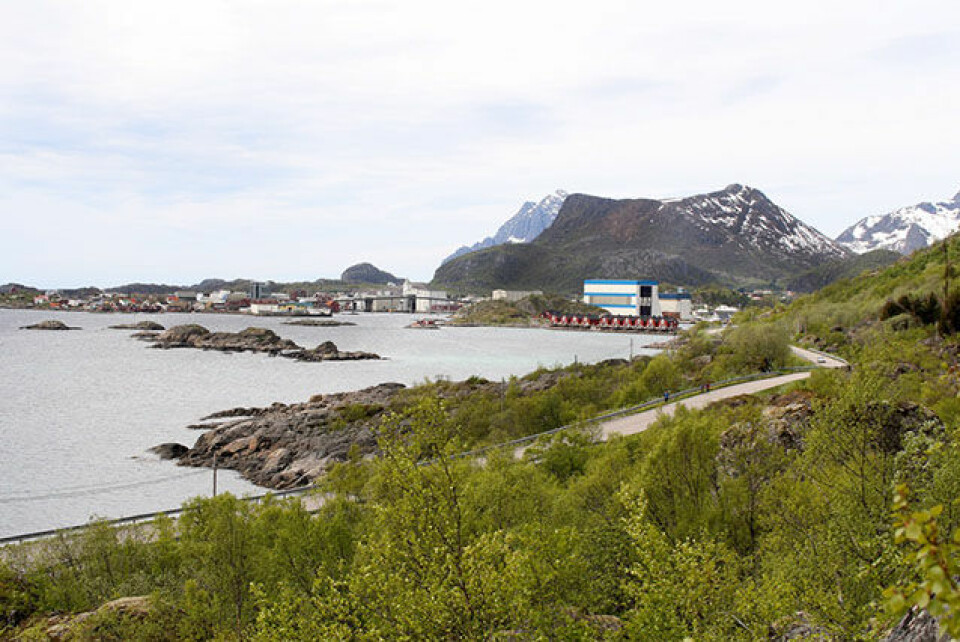 Planlegger å arrangere verdens råeste triatlon i Lofoten 23.jpg