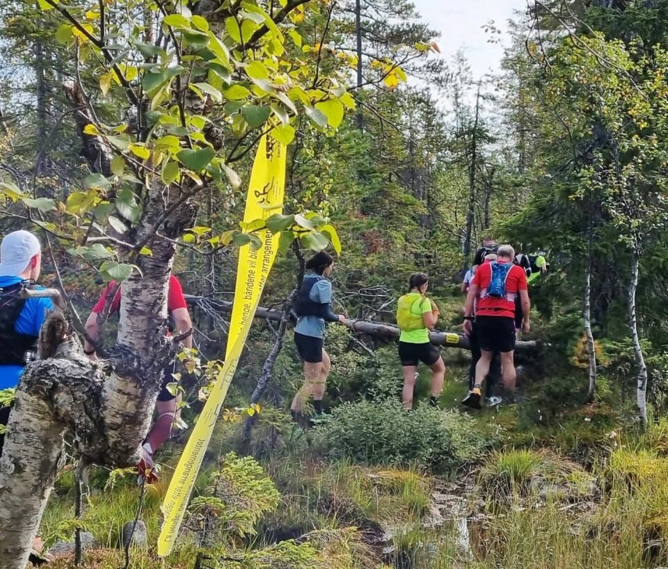 Lise Borgen-Johansen og Eirik Johannessen raskest på 50 km i Romeriksåsen FRa_løypa_Olav_Killinggbergtrø-foto.jpg