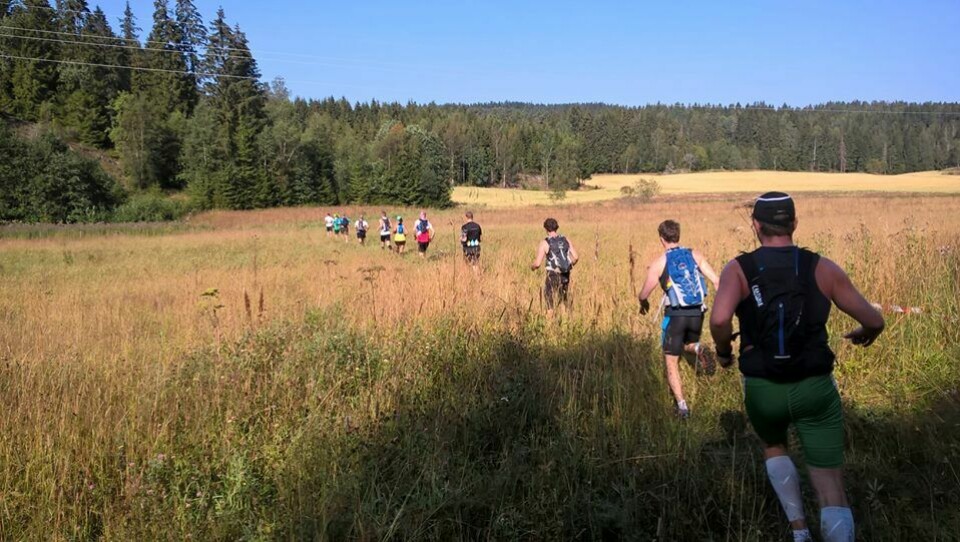 Løperne i starten av løpet (foto: Stein Dyngen, arrangørens FB-side). Løperne i starten av løpet (foto: Stein Dyngen, arrangørens FB-side).