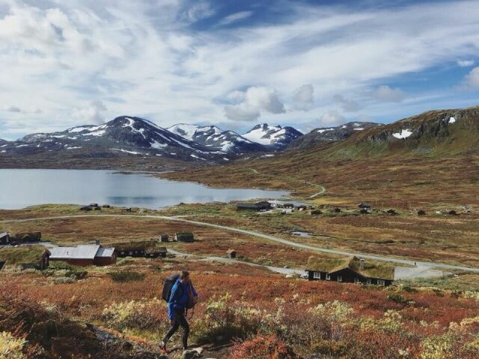 Tyinholmen 1100 moh blir lokalisering for CP2 i Salomon XREID 2018. Foto: Arrangøren Tyinholmen 1100 moh blir lokalisering for CP2 i Salomon XREID 2018. Foto: Arrangøren